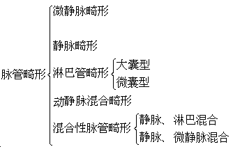 成人血管瘤分类